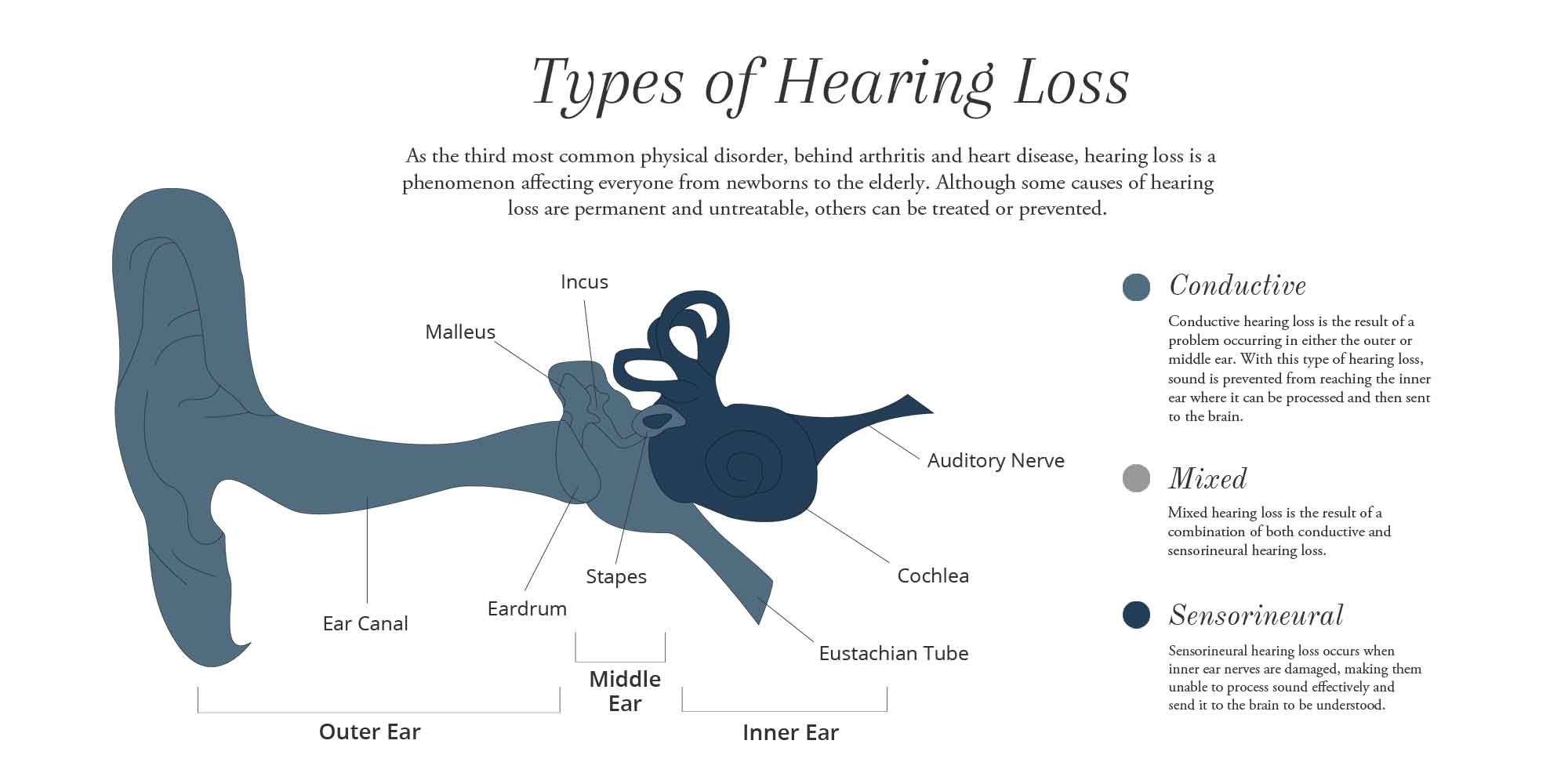 Heard перевести. Hearing Test шаблон. Hear of hear about. Hearing loss statistics. Hearing Passport of neurosensor hearing loss at the right Ear.